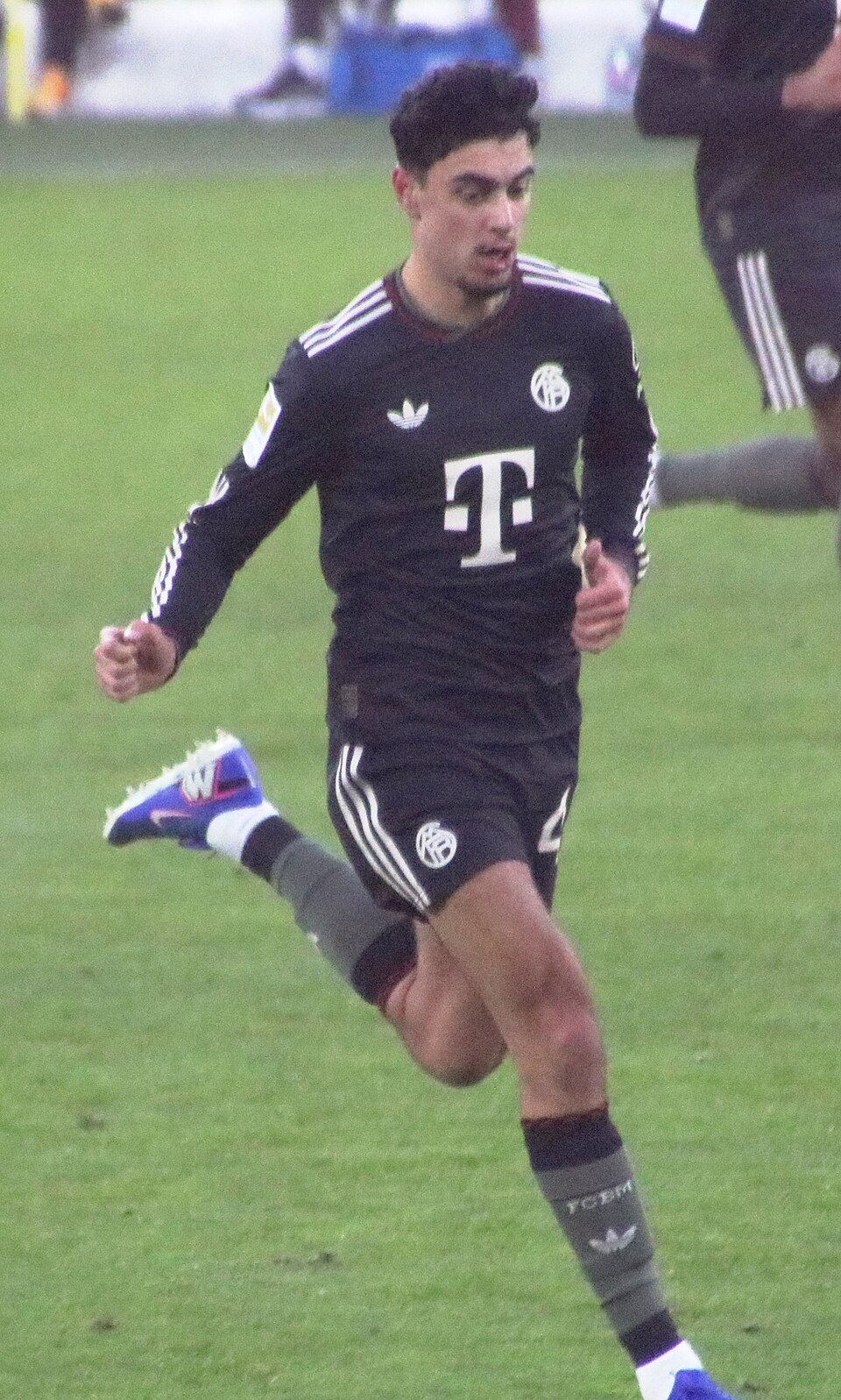 Aleksandar Pavlović