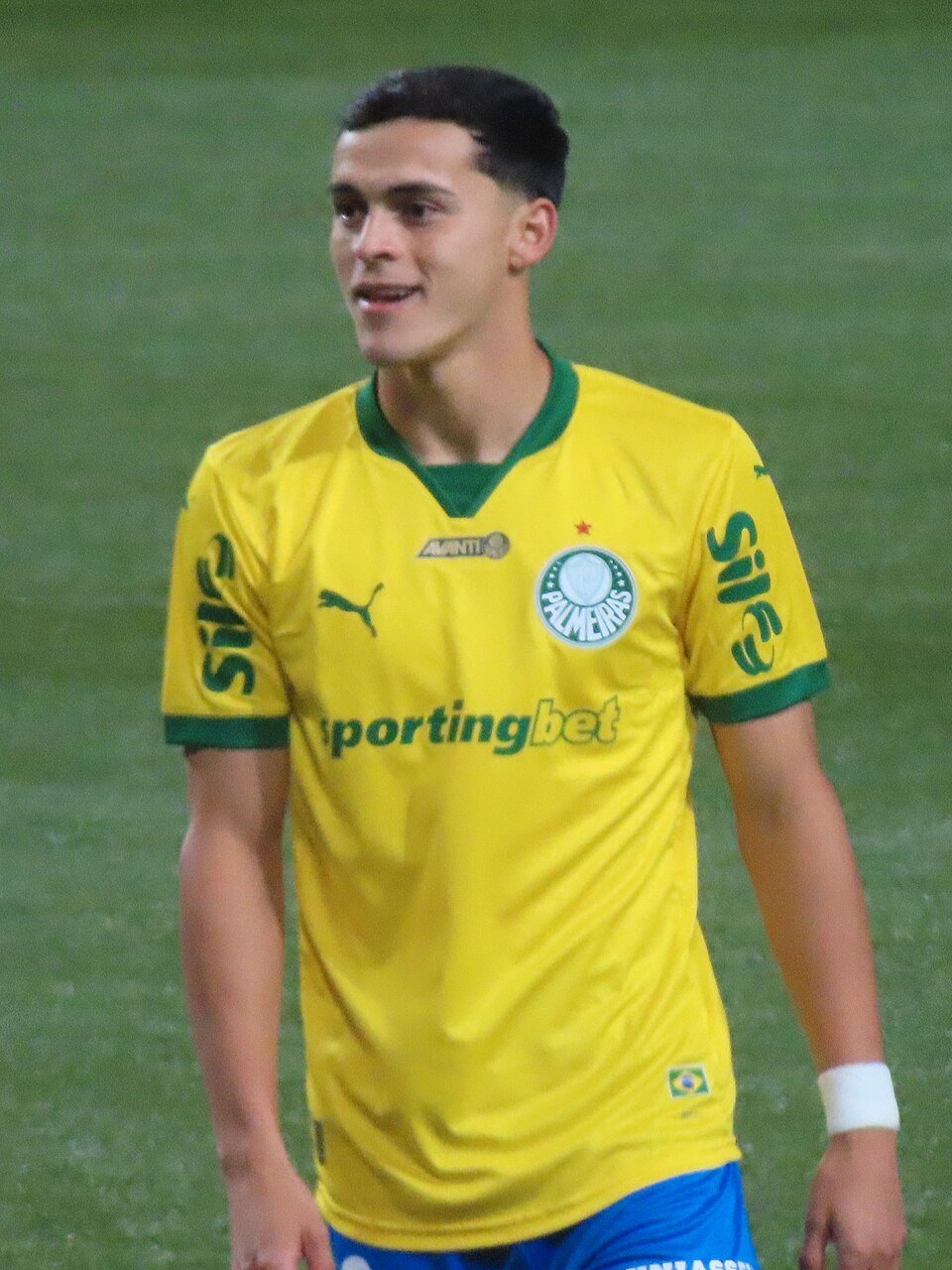 Ramón Sosa